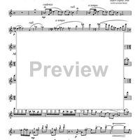 Concerto for Piccolo and Piano - Flute