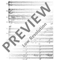 Concerto doppio - Full Score