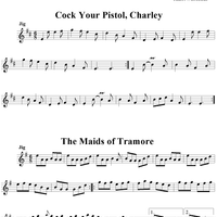 18 Irish Melodies for Fiddle, Flute or Tinwhistle