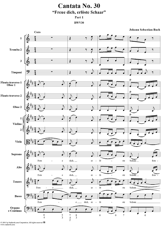 Cantata No. 30: "Freue dich, erlöste Schar" Part 1