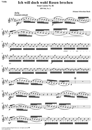 "Ich will doch wohl Rosen brechen", Aria, No. 2 from Cantata No. 86: "Wahrlich, wahrlich, ich sage euch" - Violin