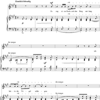 Liederkreis, Op. 39: No. 11, Im Walde