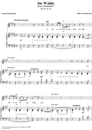 Liederkreis, Op. 39: No. 11, Im Walde