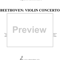 Beethoven: Violin Concerto - Second and Third Movement Theme