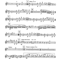 Tanijetz - E-flat Piccolo Clarinet