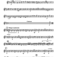 Polka Fantastic - Clarinet 3 in Bb