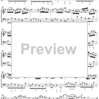 Flute Sonata no. 5 in E Minor (BWV1034)