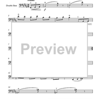 Brahms Studies for Double Bass - Sixteen Waltzes, Op.39