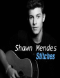 Stitches