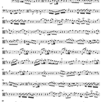 Sonata No. 2 in B Minor - Viola da gamba