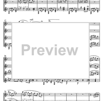 Suite Quindicesima in Re Op.33 - Score
