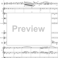 Oboe Concerto in C Major, HobVIIg/C1 Movement 2 - Full Score