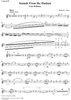 Sounds from the Hudson - Cornet