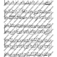 Duo D major - Performing Score