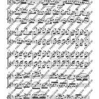 Duo D major - Performing Score