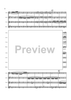Flight of the BumbleBee - Score