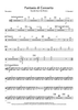 Fantasia di Concerto - Percussion