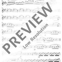 Sonata "Arpeggione" in A minor - Flute