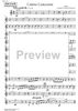 Caleno Casturame - Baritone Horn/Trombone