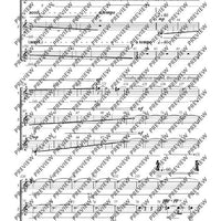 Adiantum Capillus-Veneris III (Maidenhair fern III)