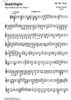Quadrifoglio - Guitar 3