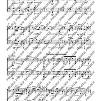 Molto tranquillo - Score and Parts