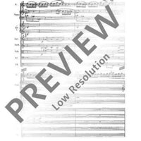 Concerto doppio - Full Score