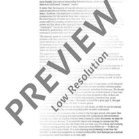 The Modern Recorder Player