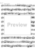 Concerto No. 1 G Major KV313 - Flute