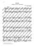Sonata e minor - Performing Score