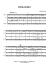 Sonoran Spice - Score