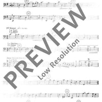 Le Bourgeois Gentilhomme - Violoncello/double Bass