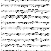 "Ergiesse dich reichlich, du göttliche Quelle", Aria, No. 3 from Cantata No. 5: "Wo soll ich fliehen hin?" - Violin