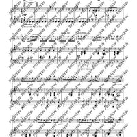 Introduction et Allegretto