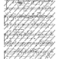 Cadenzas - Performing Score