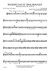 Wedding Day At Troldhaugen, Op. 65, No. 6 for Band - Bb Cornet 4