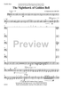 The Nighthawk of Golden Bell - Double Bass