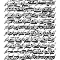 The Flutist's Progress