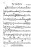 The Iron Horse - Flute