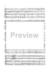 Double Concerto for Recorder and Flute in E minor - Score