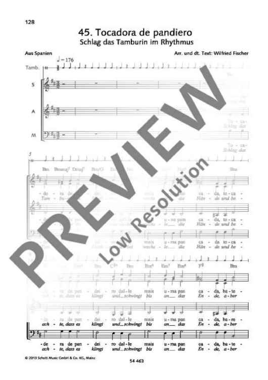 Tocadora de pandiero