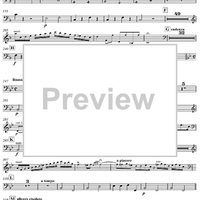 Concerto for Mandolin and Orchestra in F major - Contrabass