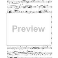 Allegro vivace -  from concerto N°3 for piano - Baritone Sax 2