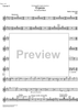 Ergesia - Cornet 3
