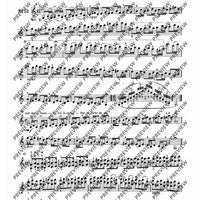 100 Technical Paraphrases on Kreutzer-Etudes