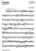 Quintetto Op.91 - Bassoon