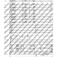 Double Concerto - Full Score
