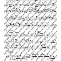 Introduction, Thema und Variationen