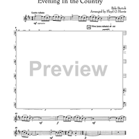 Evening in the Country