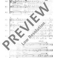 I skovens dybe, stille ro